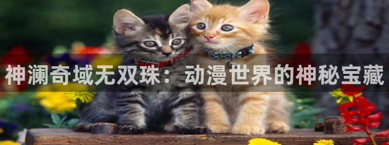 囧次元官方下载
