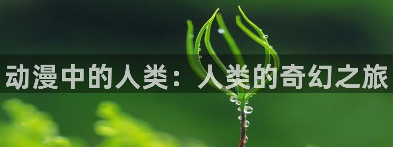 囧次元最新