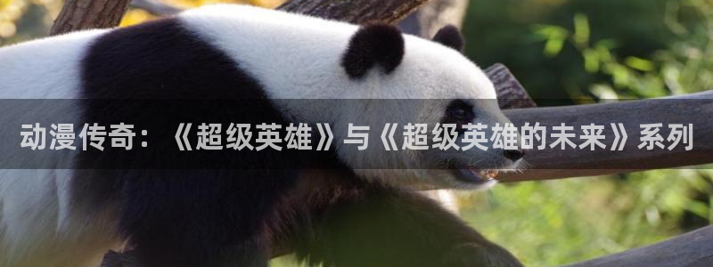 囧次元app下载安装