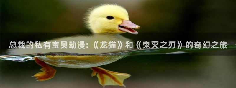 囧次元网站官网下载
