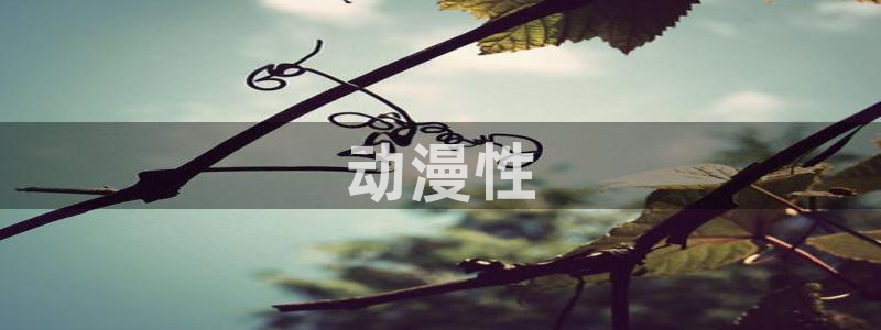 囧次元网页版在线