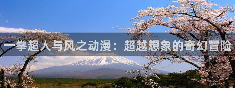 囧次元正版官网