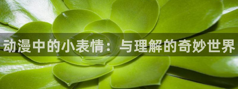 囧次元动漫官网