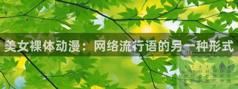 囧次元官方官网入口最新