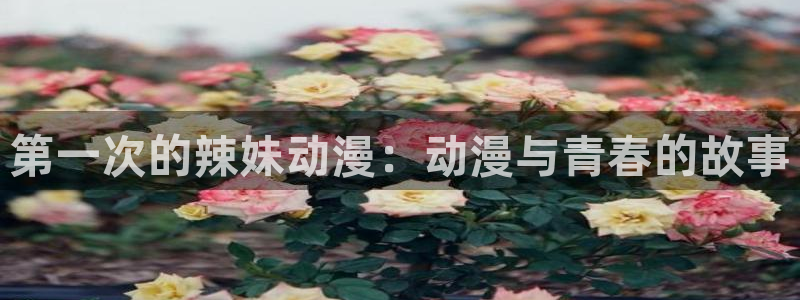 囧次元官方正版官网入口