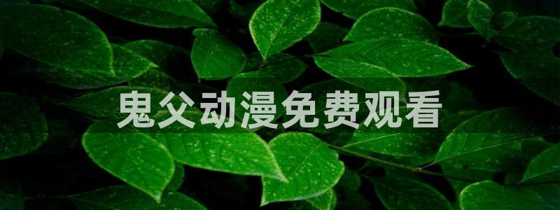 囧次元官方网站入口更新