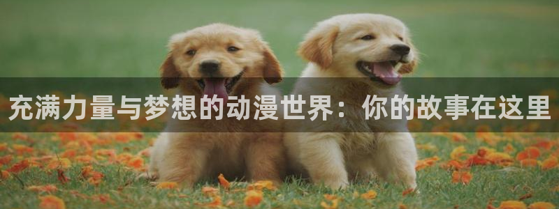 囧次元动漫官网下载：充满力量与梦想的动漫世界：你的故事在这里
